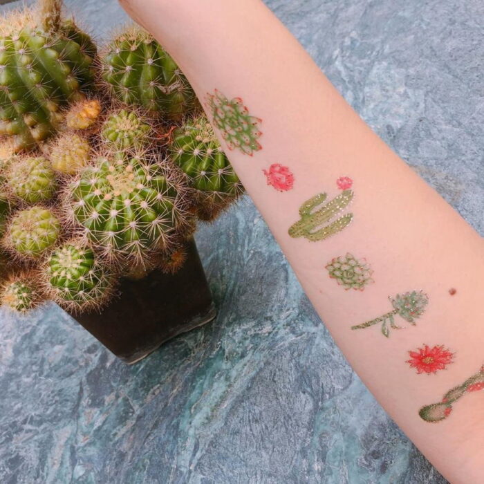 Tattoo Temporanei Cactus 2 applicati sul braccio Paperself